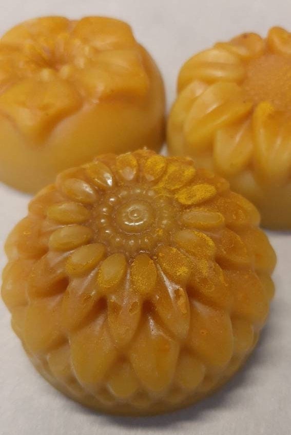 Hair: Lemongrass Sage & Turmeric Solid Hair Conditioner Bar